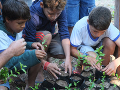 Kinder lernen Setzlinge zu pflanzen