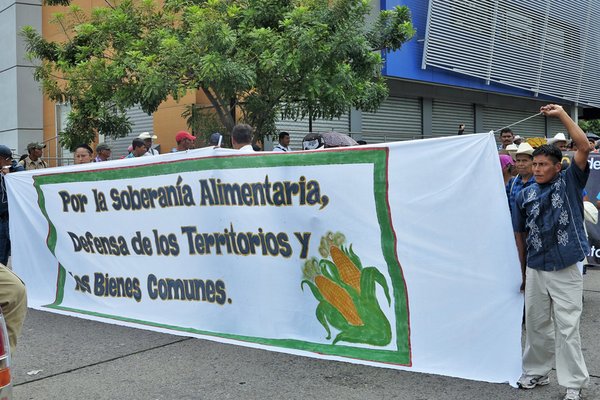 Enough land for everyone in Honduras - Centro de los Trabajadores del Campo